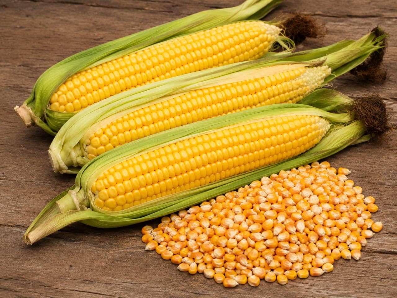 Maize supplied by Sigmaphi Agro Consult
